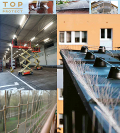 Top Protect – Kolce przeciw ptakom. Bydgoszcz