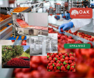 Likwidujemy marnotrawstwo w firmach przetwórczych i produkcyjnych.