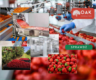 Likwidujemy marnotrawstwo w firmach przetwórczych i produkcyjnych.