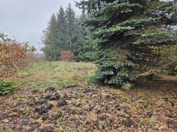 Działka niezabudowana - Rąbień