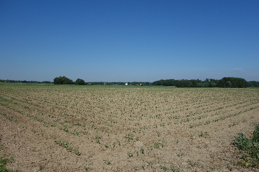 skoczów okolica sprzedam 1,15ha nadaje sie pod sta