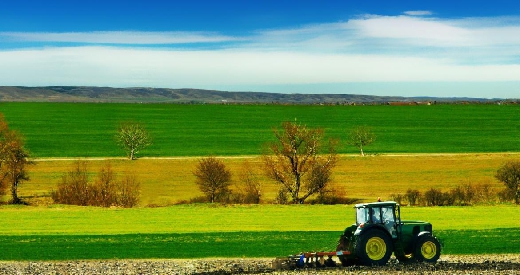 Przyjmę w dzierżawę