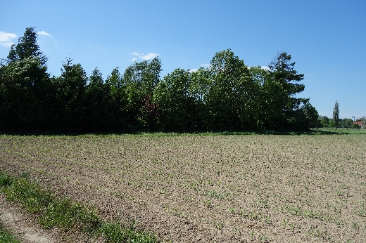 skoczów pruchna 1,15ha pod stadnine koni rezydencj