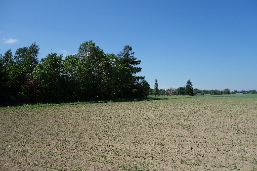 Okolica cieszyna sprzedam grunt 1,15ha