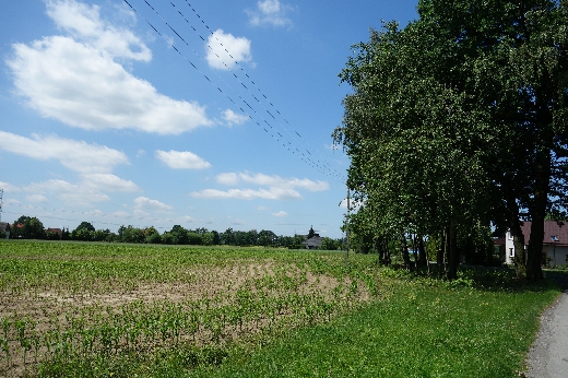 Śląsk Ochaby koło Skoczowa 3,2 ha pod stadnine dom