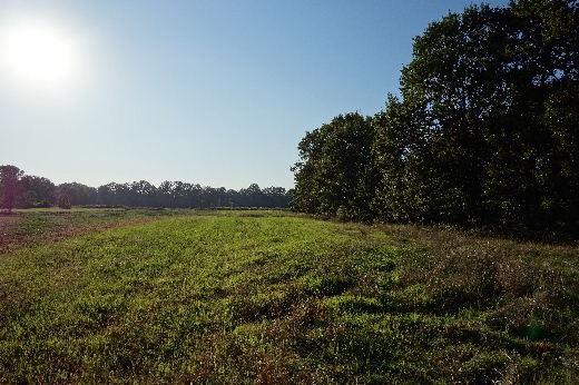 Ochaby koło Skoczowa sprzedam dzialke pod rekreacj